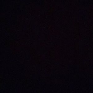 Meet your Posher, Owen